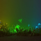 Razer