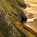 Worm's Head