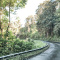 Hana Highway