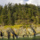 Devil's Bridge