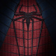 The Amazing Spider-Man
