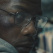 John Boyega