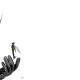 Wasp