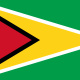 Flag of Guyana