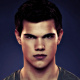 Taylor Lautner