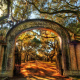 Wormsloe Plantation