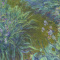 Claude Monet Irises