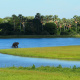 Shire River