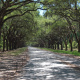Wormsloe Historic Site