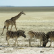 Etosha Pan