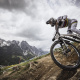 Trek Session