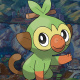Grookey