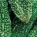 Bitter melon