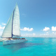 Sea Passion