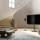 Loewe Bild