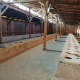 Birkenau