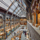 Oxford University Museum of Natural History