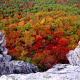 Shenandoah