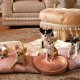 Beverly Hills Chihuahua