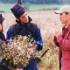 Zhang Yimou