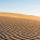 Arabian Desert