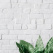 Rawpixel