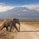 Amboseli