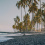 Punaluu Black Sand Beach