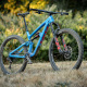 Blackthorn SLX