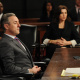 The Good Wife