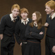 Weasley family