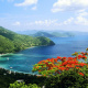 Cane Garden Bay
