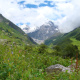 Uttarakhand