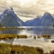 Fiordland