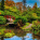 Kubota Garden