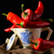 Paprika Pepper