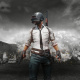 PUBG Lone Survivor