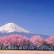 Mount Fuji