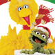 Oscar the Grouch
