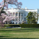 The White House