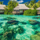 Moorea