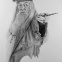 Elder Wand
