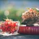 Pushkin
