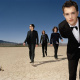 Brandon Flowers