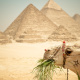 Giza Pyramids