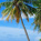 Indian Ocean