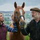 Owen Teale