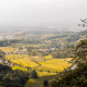 Lombardy