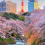 Chidorigafuchi