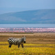 Lake Nakuru